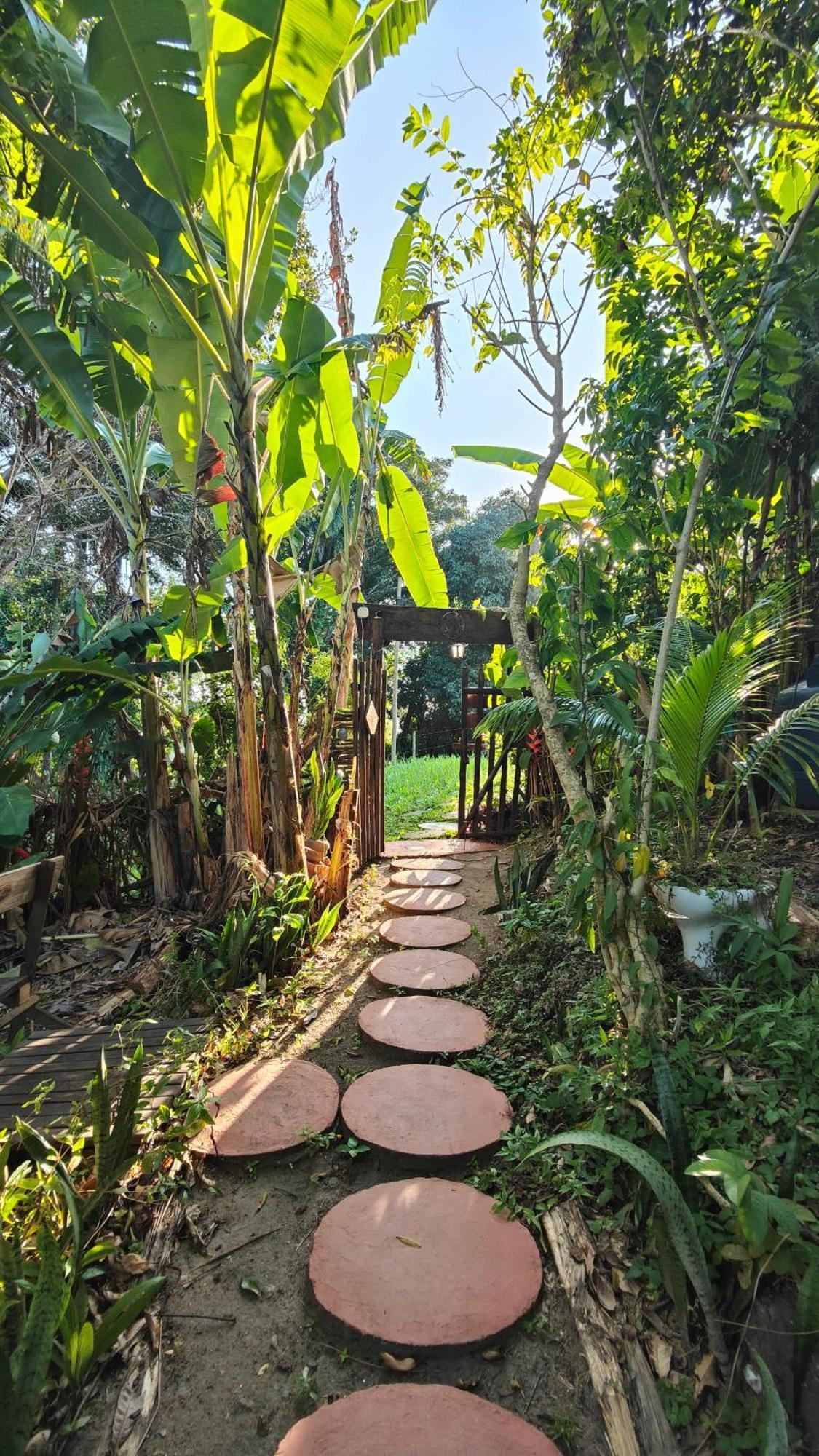 Eco Hostel Bosque Di Barro Velha Boipeba Kültér fotó